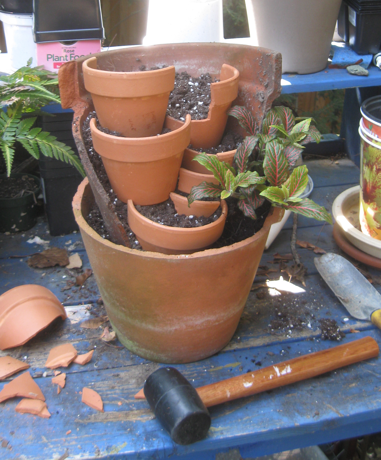 randuwa Broken Pots Planter?