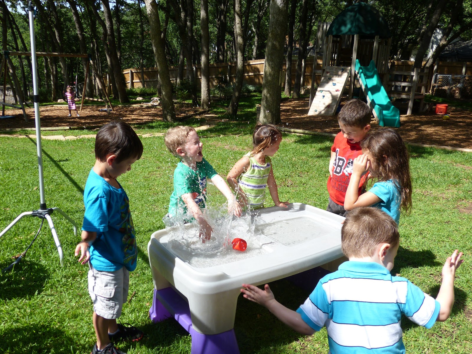 Paula's Primary Classroom Roll 6 and splash!