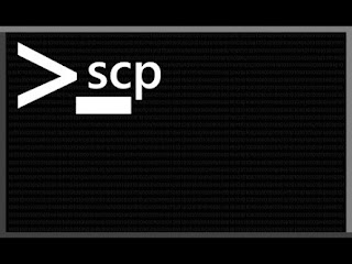 SCP-3000, Wiki Vilões