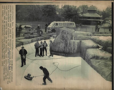 The Circus "NO SPIN ZONE": Lincoln Park Zoo Landmark Cafe--Preserving ...