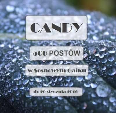 Candy do 20.01.