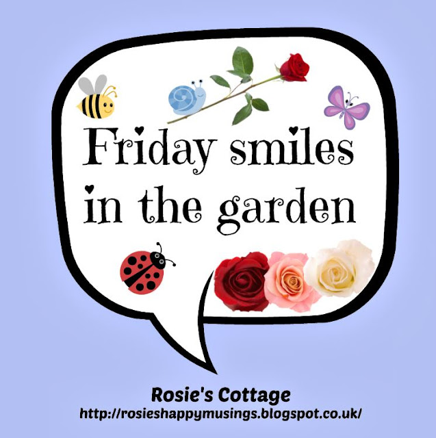 Friday Smiles In The Garden Friday Smiles In The Garden