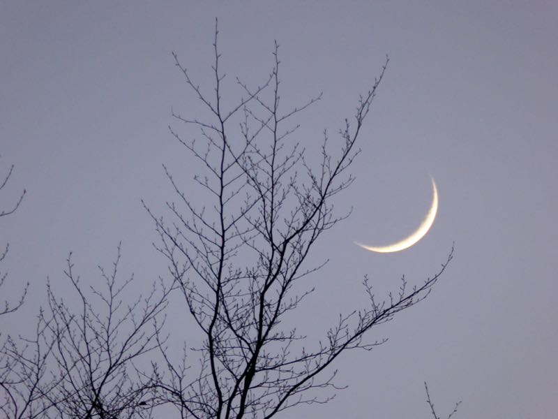 Wir sind nicht allein...: NEUMOND AM 17. JANUAR 2018