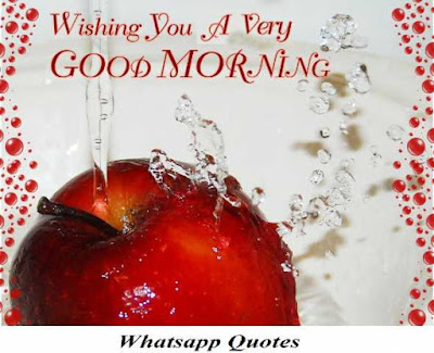 latest-good-morning-images good-morning-images-with-nature