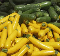zucchini | courgette | summer squash | Cucurbita pepo