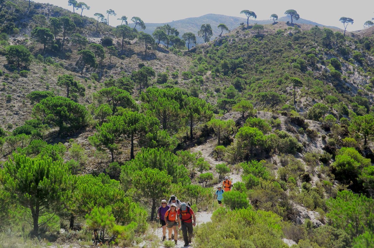 Comando preston Ruta circular Aldea del