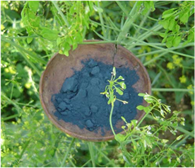 Procesamiento, Industrialización y Producción del añil en El Salvador ...