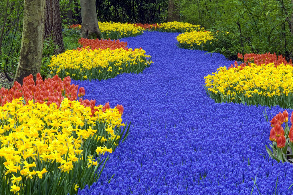 Holland America Port Of Call Costa Maya Mexico Travel With Leanne