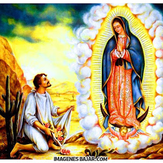 imagenes-virgen-de-guadalupe