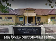 Alamat Dinas Pertanian dan Peternakan Kabupaten Indramayu