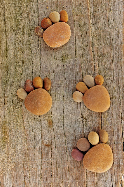 Paw Prints a