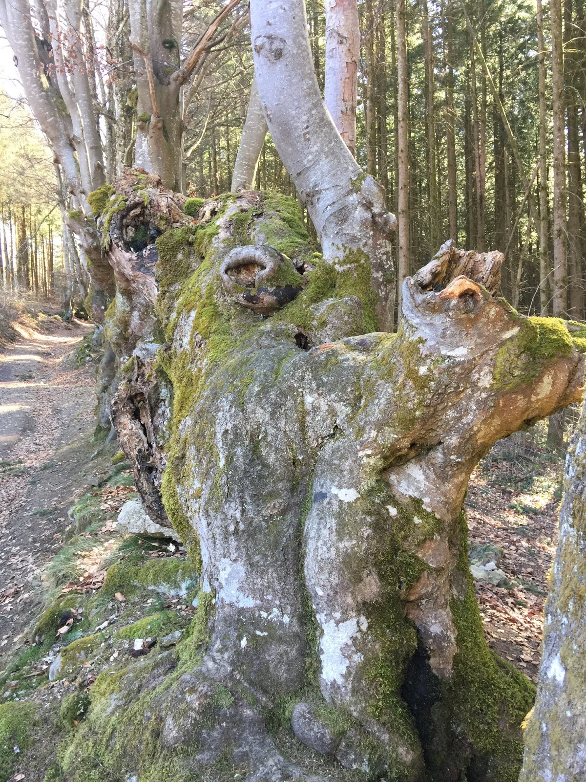 2019 Tour de la Bretagne GR
