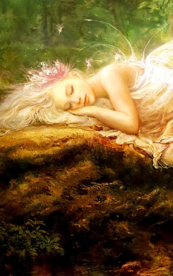 Fairy Sleeping Fantasy  Galaxy Note HD Wallpaper