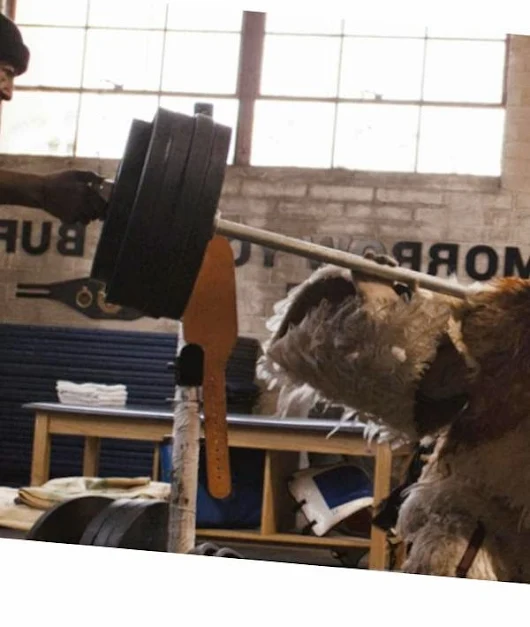 kosovalbaner toolbar kosovalbaner toolbar