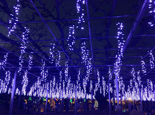 Ashikaga Flower Park illuminations wisteria