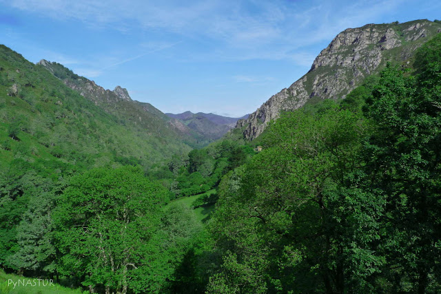 Montes Degoes y La Cerecal - Piloña - Asturias Montes Degoes y La Cerecal - Piloña - Asturias