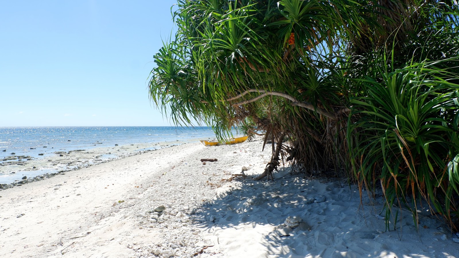 Nogas Island : Antique - The Lost Kids