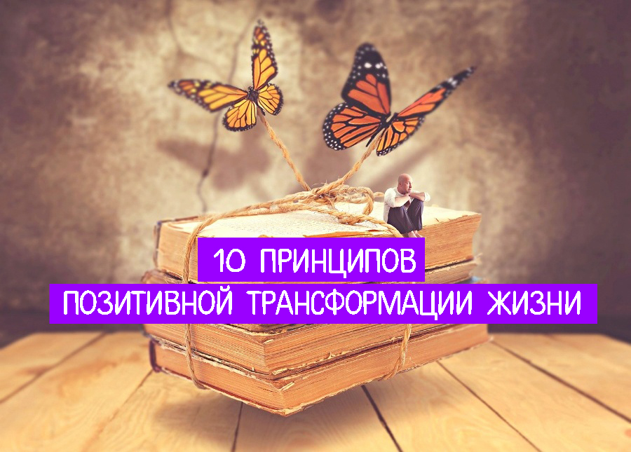 Жизненные трансформации. Трансформация стадия преобразования. Жизненные трансформации. Вебинар обратная связь. Жизненные трансформации.