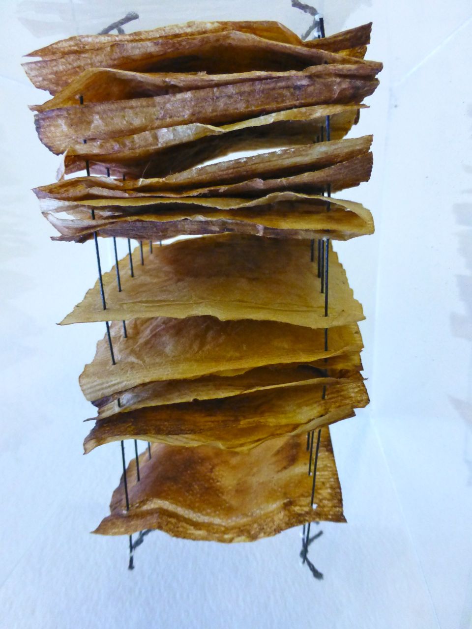 tracemarks tea bags..