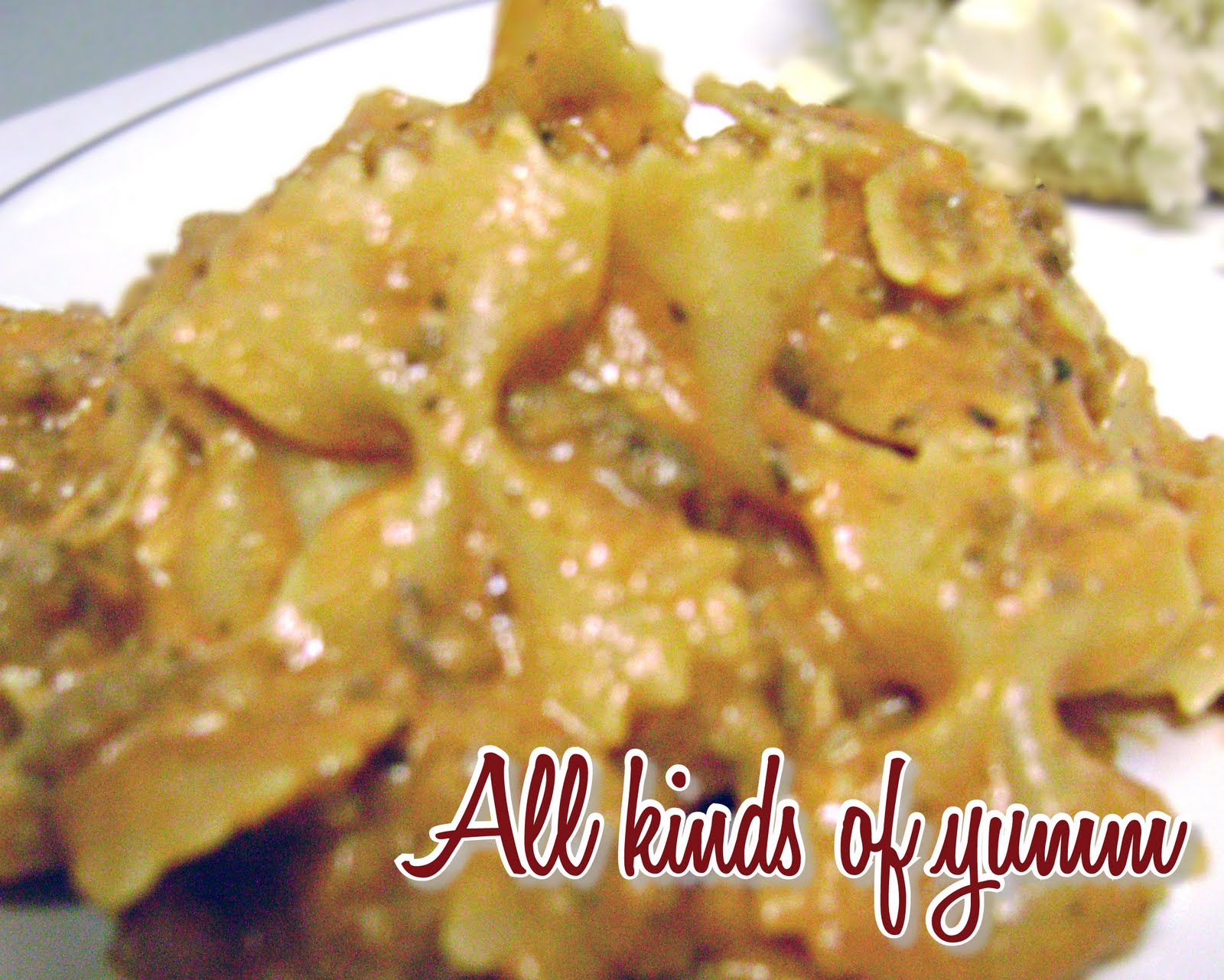 All Kinds of Yumm OnePot Sour Cream Lasagna