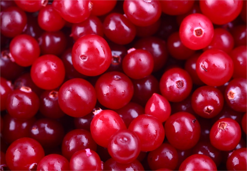 10 Health Benefits of Fruit Cranberries To Body