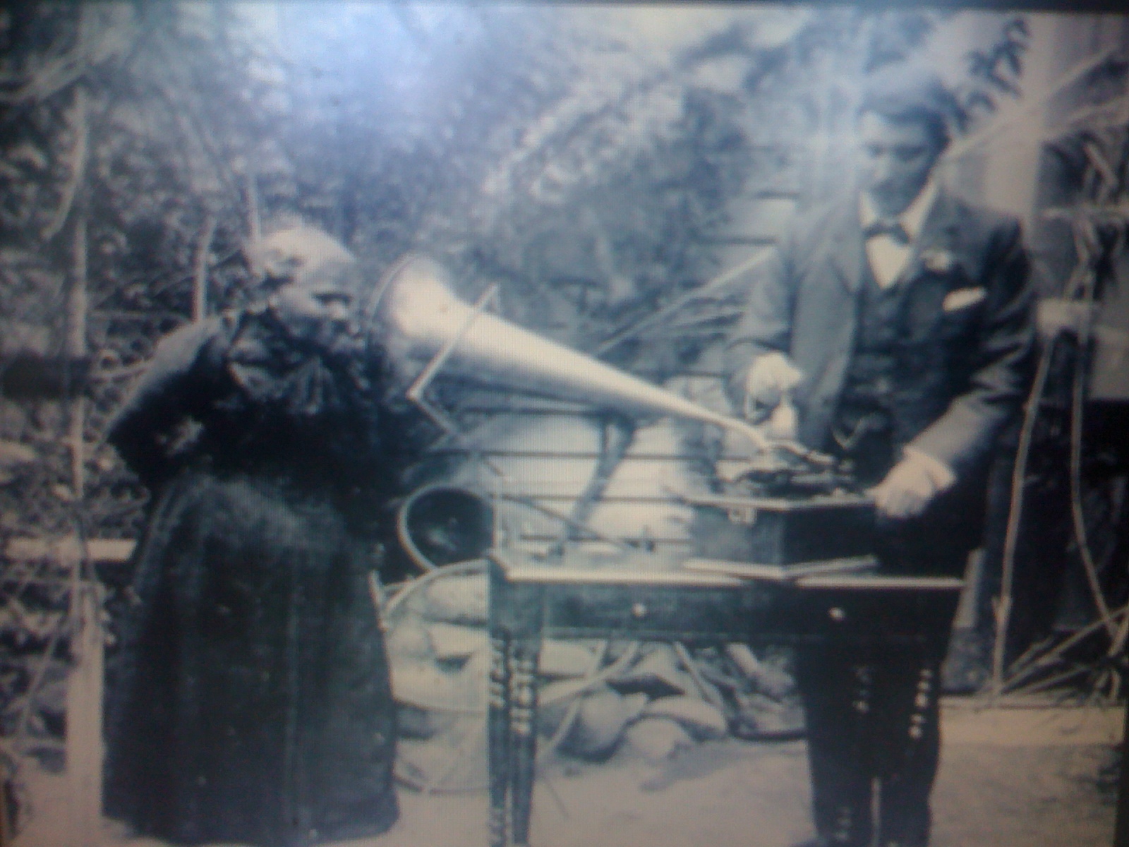 THE BLACK SOCIAL HISTORY BLACK SOCIAL HISTORY THE BLACK TASMANIANS