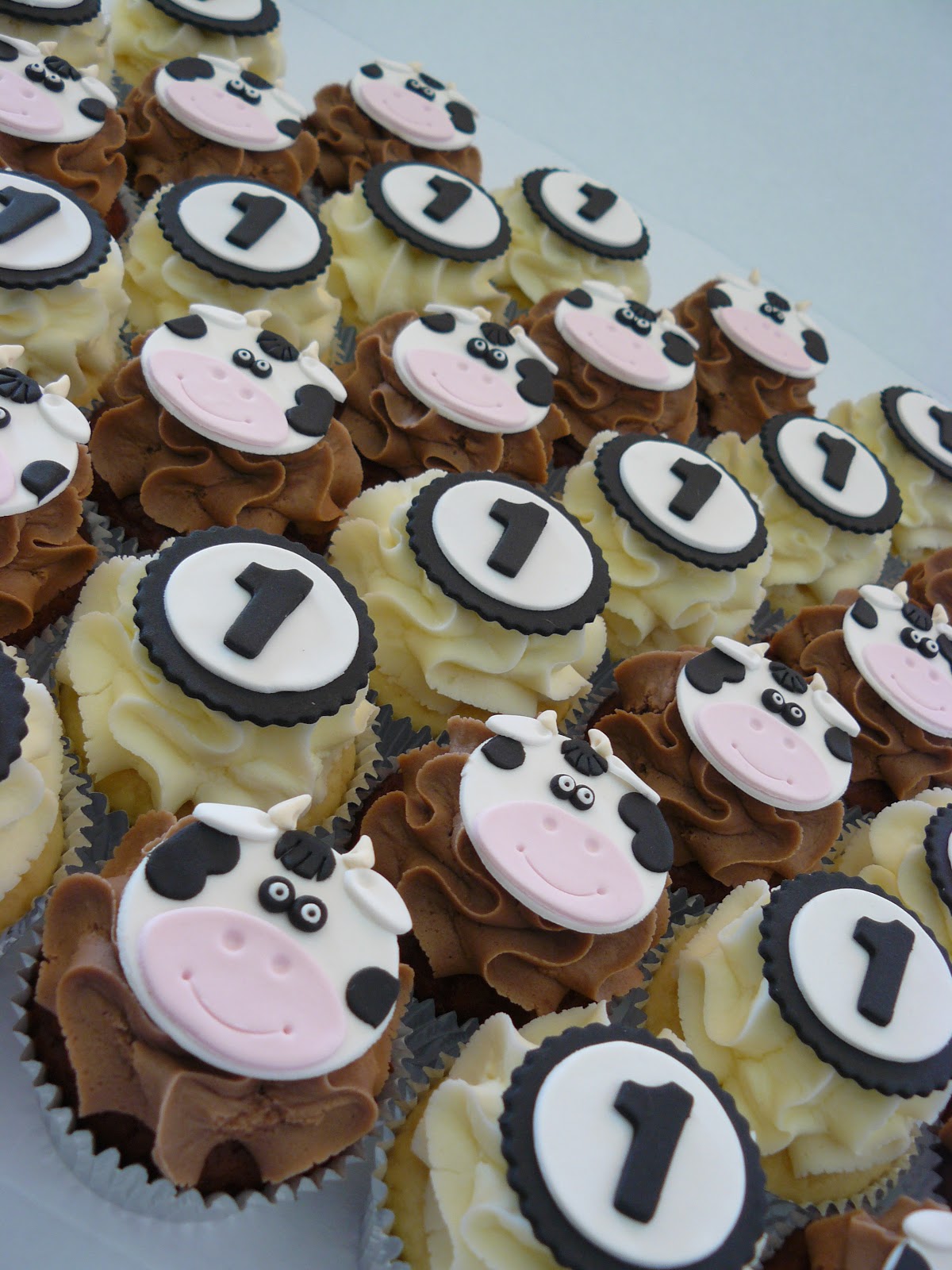 The Cup Cake Taste Brisbane Cupcakes Cow Cupcakes