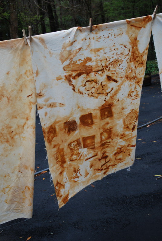 Goat Feathers Rusting Fabric Again and Stamping using Rit Dye