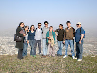 green olive tours group