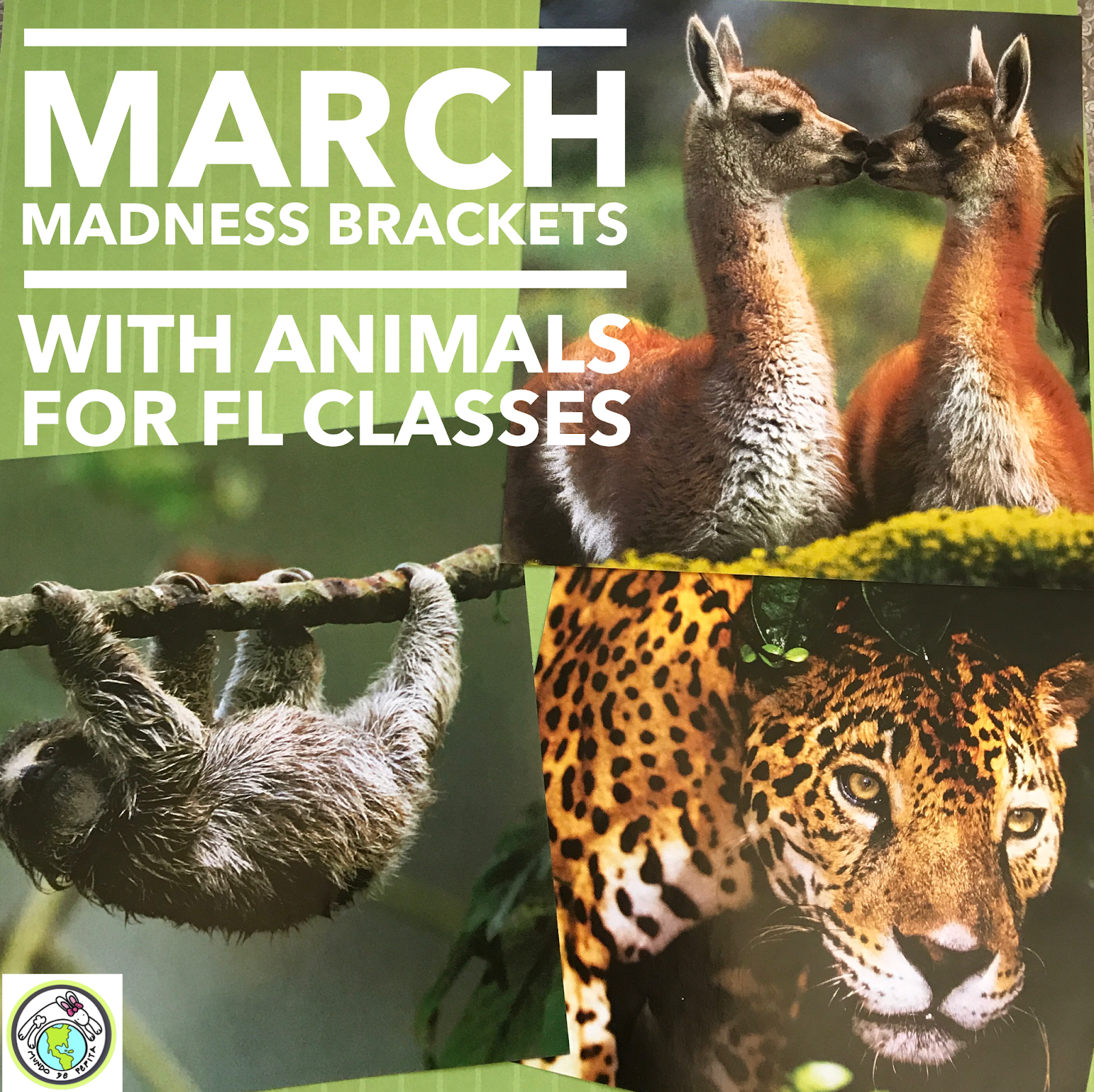 March Madness with a TwistHow I Made Brackets with Animals for my