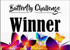 I Won The Butterfly Challenge!