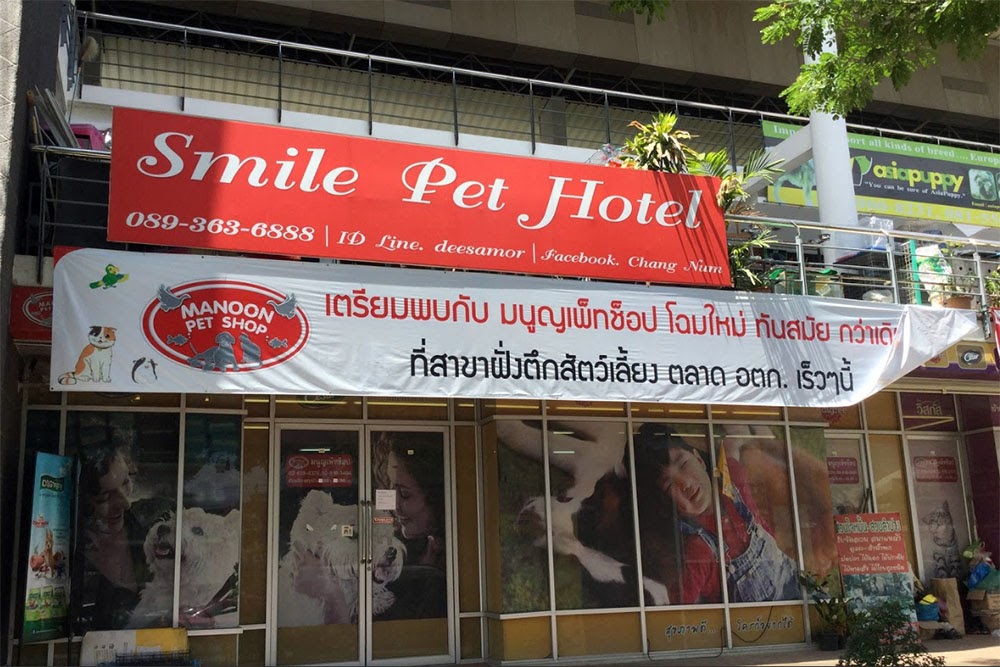 Bangkok 曼谷：Art Box Thailand 文青创意市集＋ JJ Green Night Market 恰图恰公园夜市集 乐