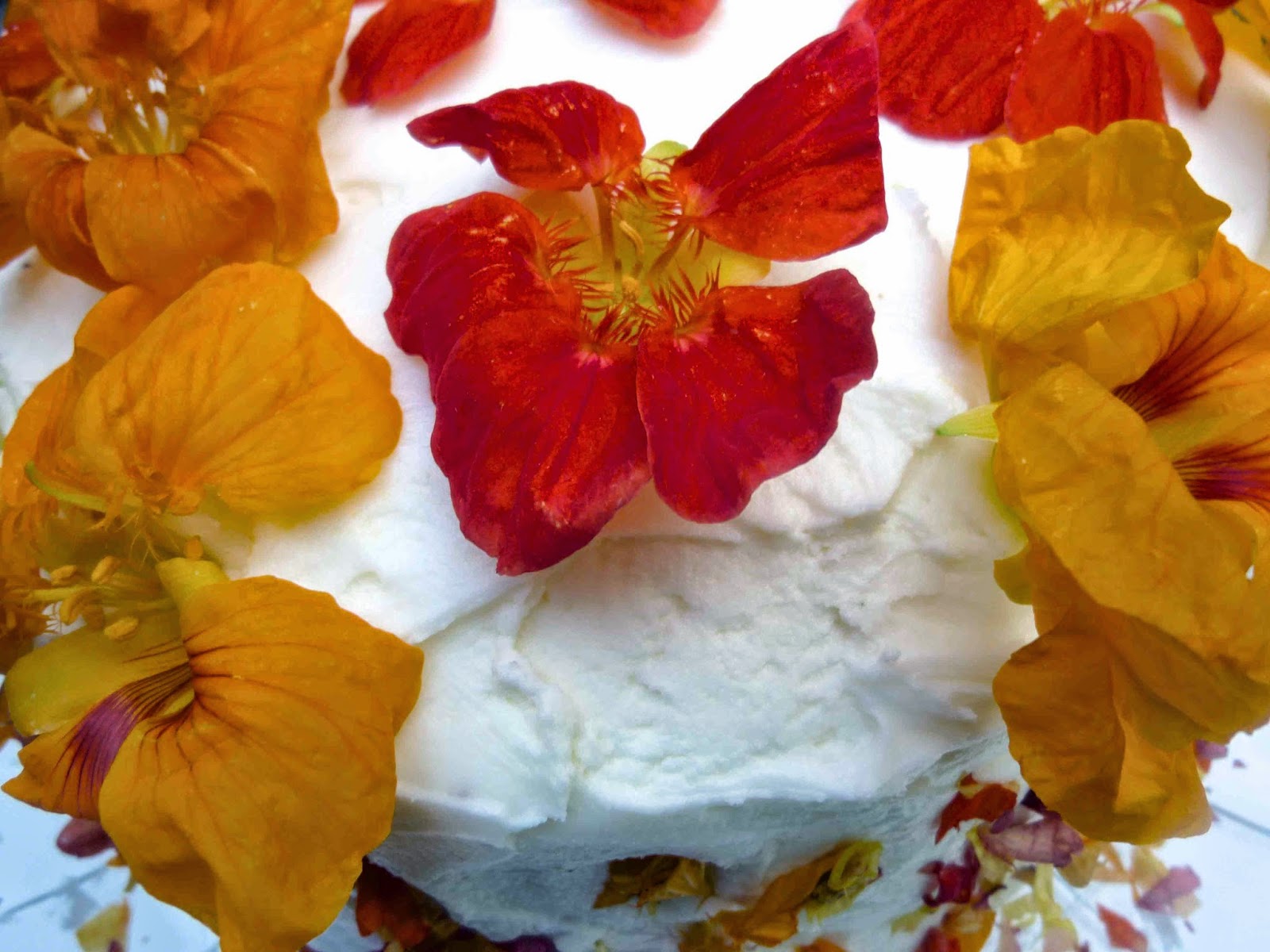 Nasturtium covered lemon layer cake