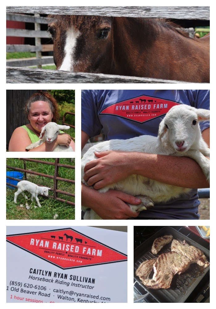 Road Trip Campbell County Farm Tour TOMORROW July 19! The Food Hussy!