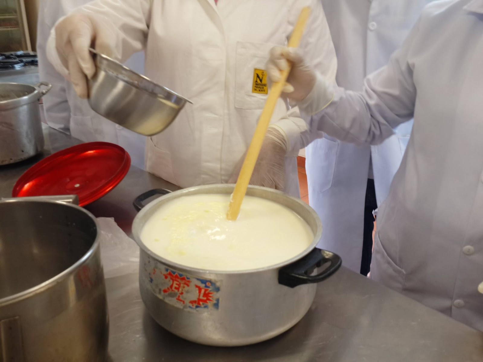 ELABORACIÓN DE YOGURT