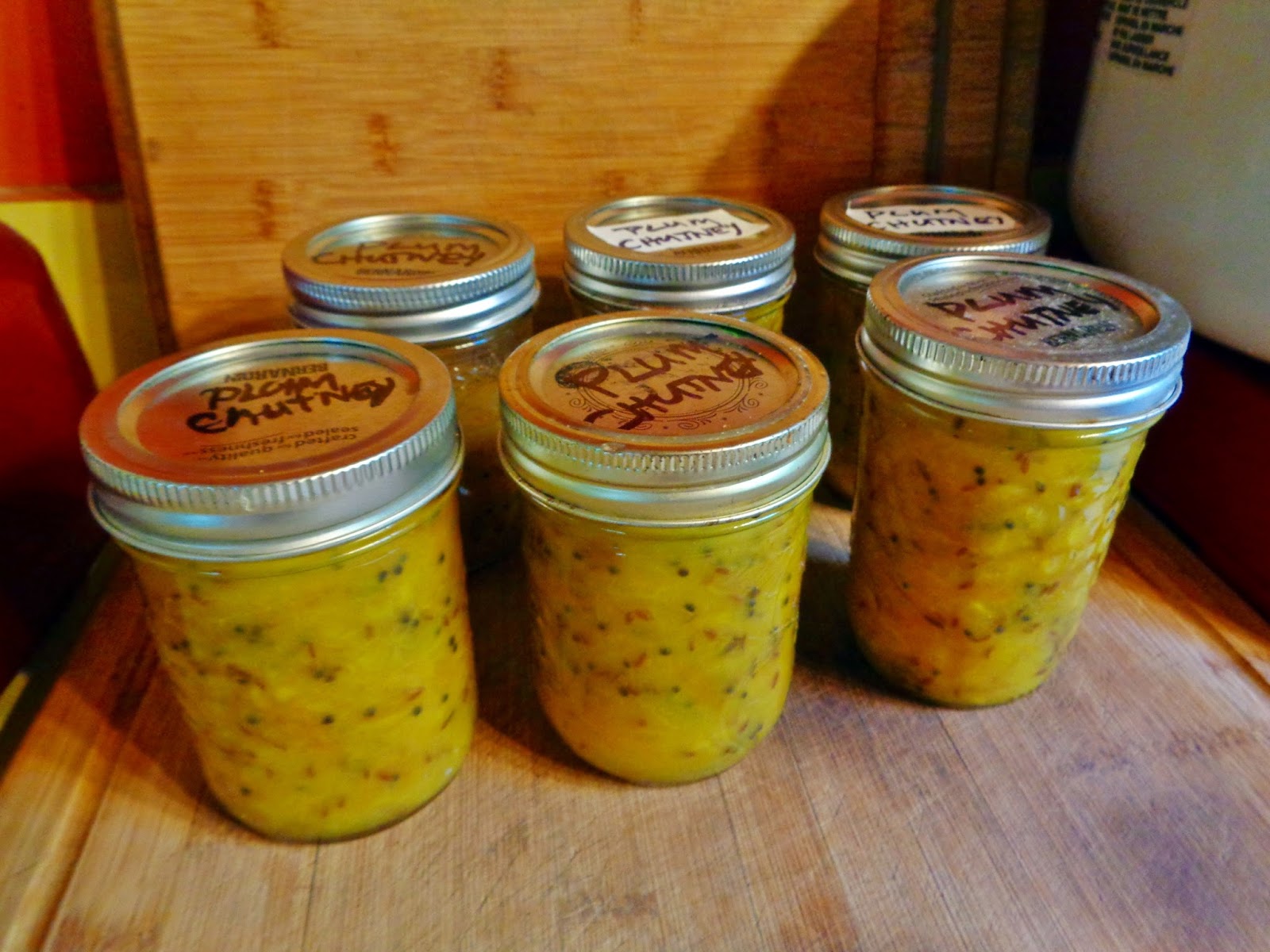 Bryanna Clark Grogan’s Vegan Feast Kitchen/ 21st Century Table SPICY INDIANSTYLE GOLDEN PLUM