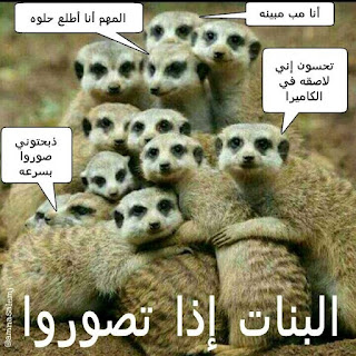 949ca0a7cb4dd3cd06bcb2b0f8a66c53