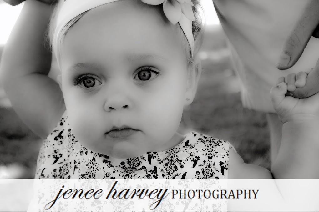Jenee Harvey Photography