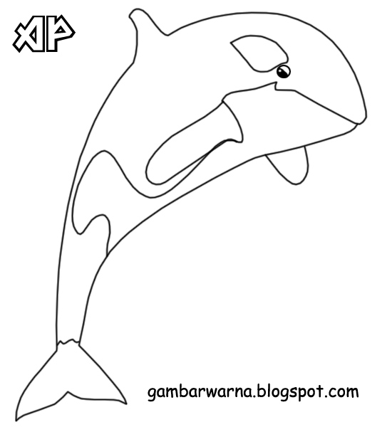 Mewarnai Paus | Belajar Mewarnai Gambar