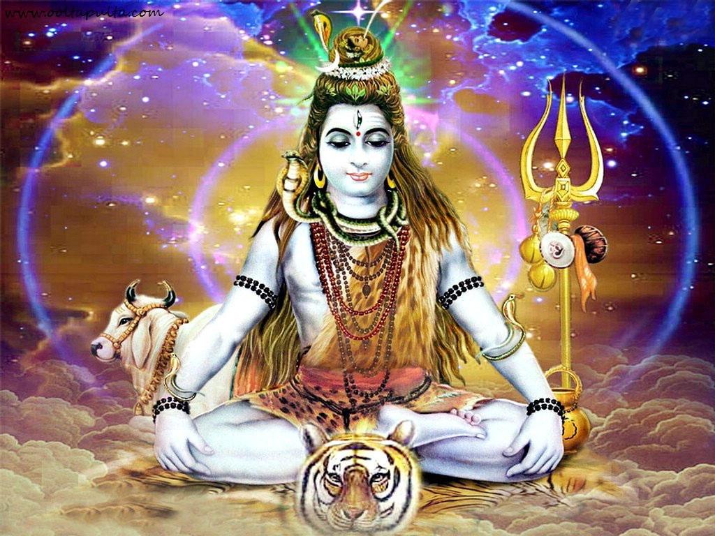 shiva shiva shiva shambo shiva shiva shiva shambo