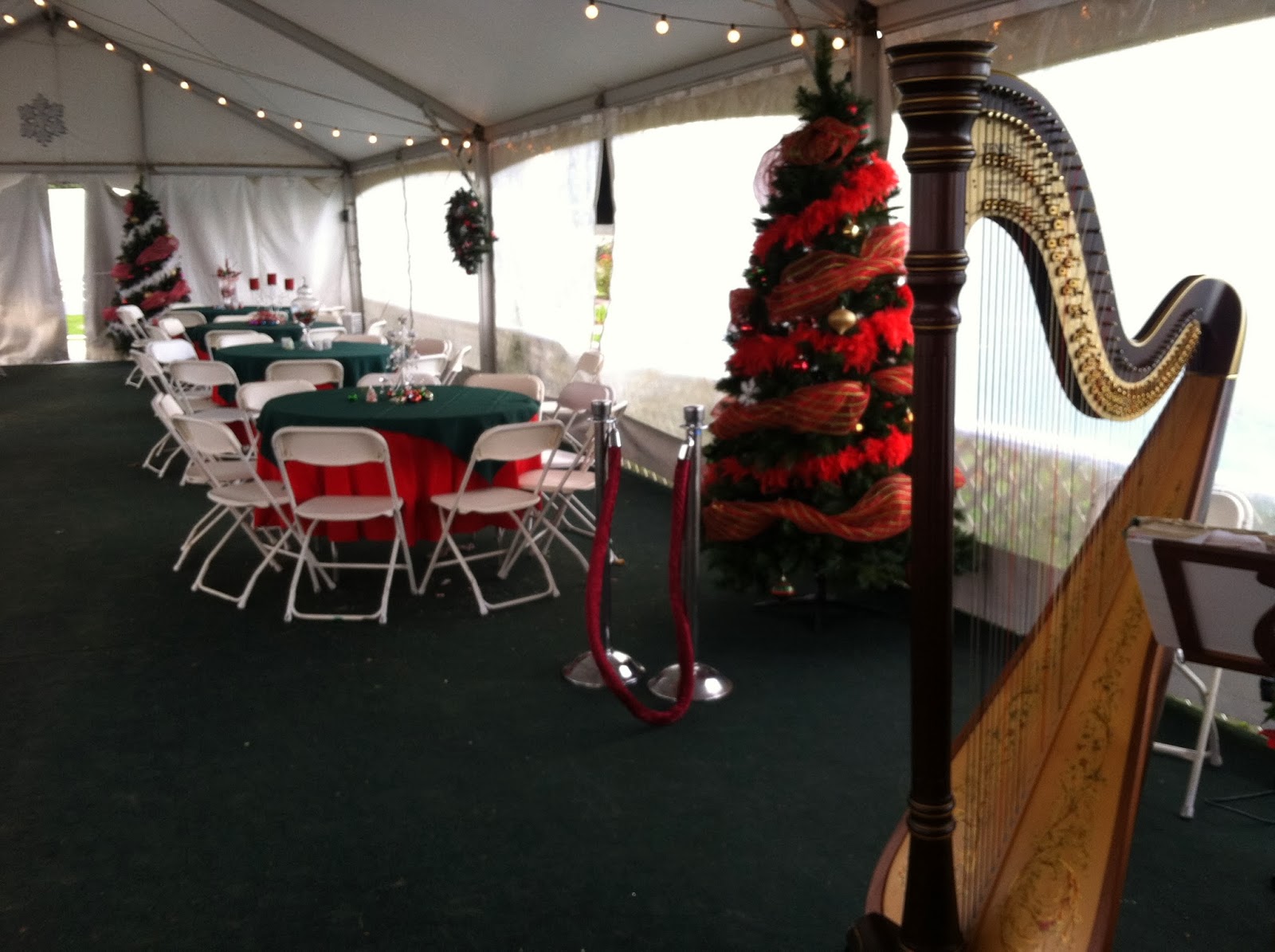 So Cal Annual Jingle Bell Horse Show 12182013 Del Mar