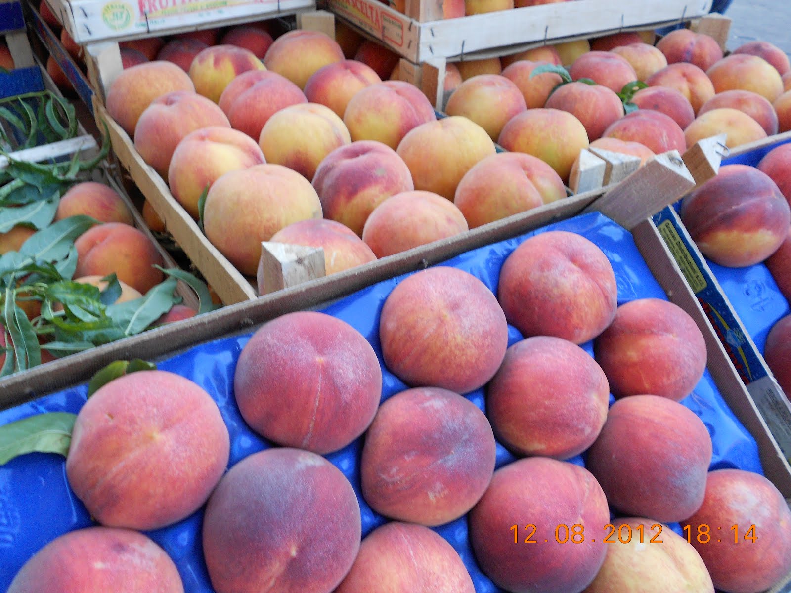 EVENTI MOJO ALCANTARA