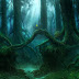 Inspiration for World Building in Dungeons and Dragons - Forest Edition