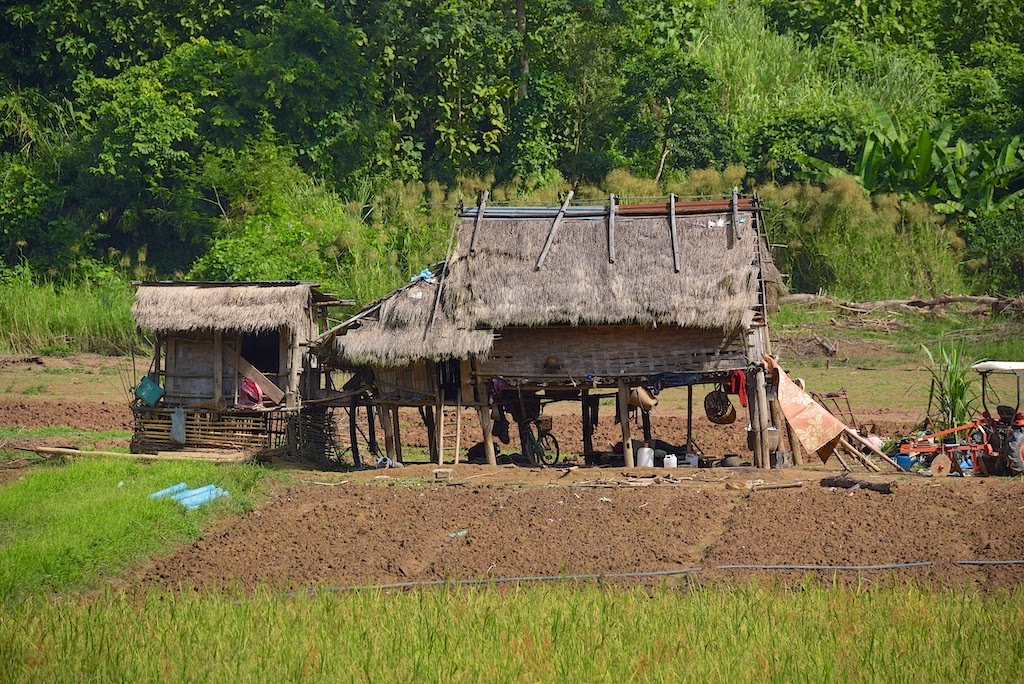 Sabaidii