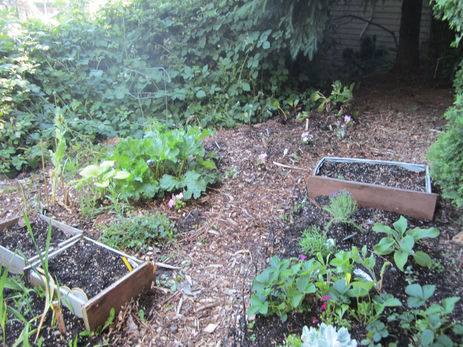 Sprouts Portland Oregon