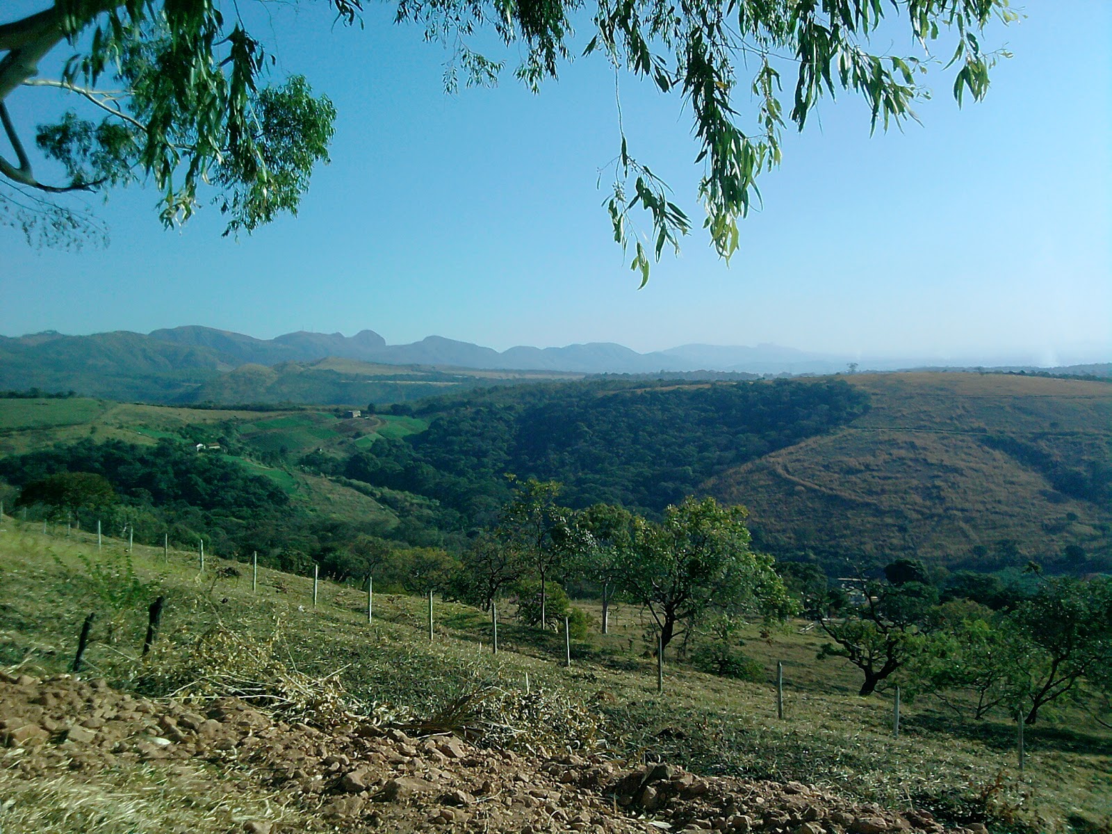 Sarzedo Ecologia: Serra do Rola-Moça