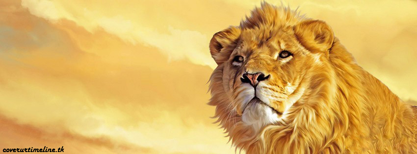 Cover ur Timeline: Lion-Animal FB covers
