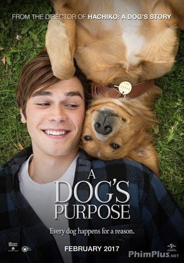Phim Mục đích sống của một chú chó - A Dog's Purpose (2017)