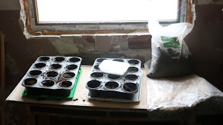 The potting table in the gardening room The potting table in the gardening room