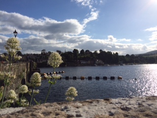 Killaloe bridge